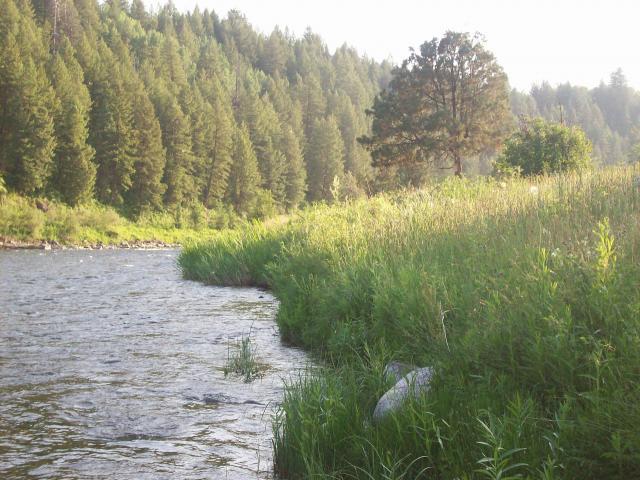 Henry's Fork