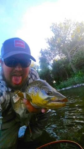 TRR Outfitters: Boise River Brown