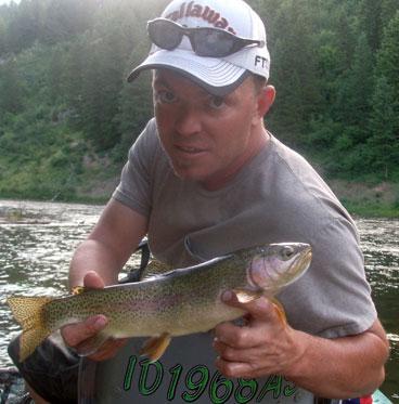 Rainbow on the Henry's Fork