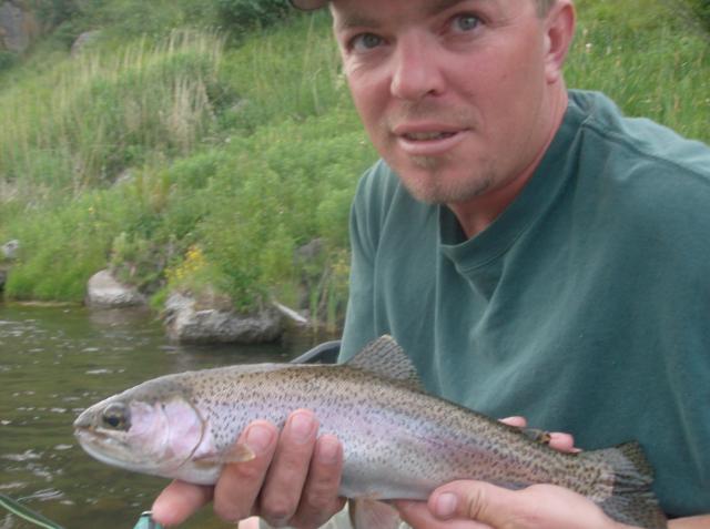 Healthy Rainbow Trout