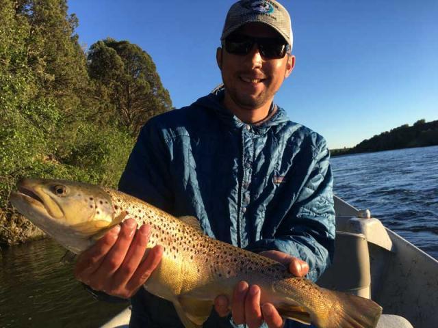 Brandon's big brown