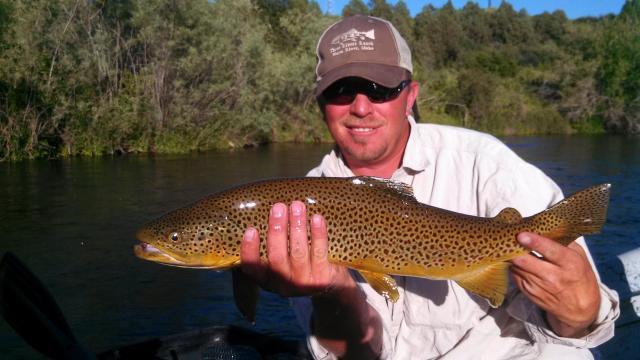 Big Brown Slab
