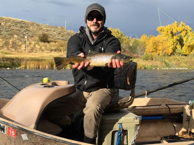 Brown Trout on the Henry's Fork