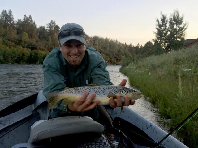 Henrys Fork Brown Trout