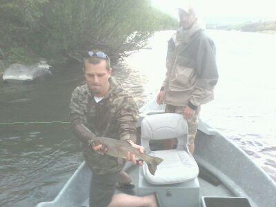 Salmon Fly Caught Bow