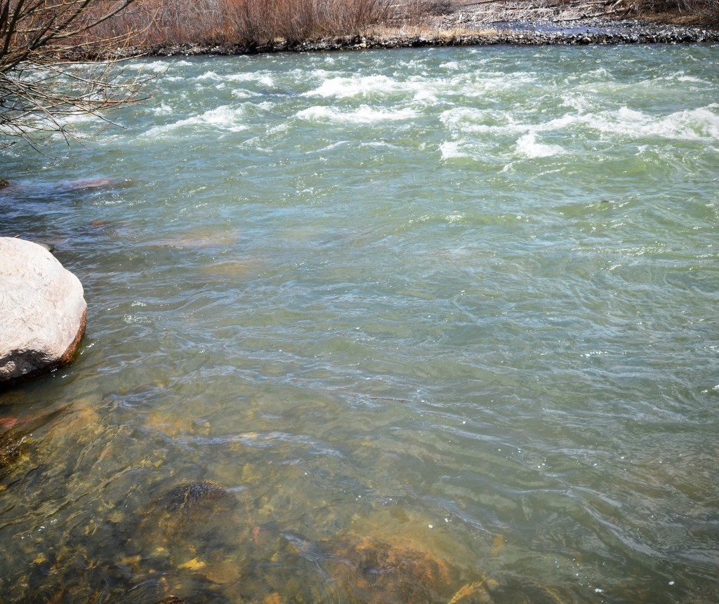 madison river clarity 4-18-2016